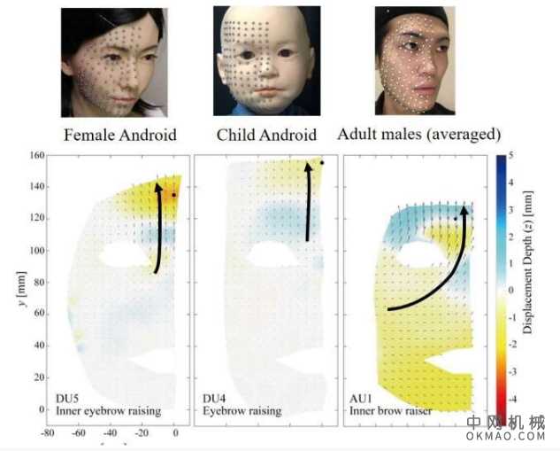对人脸和Android人脸的比较分析可能会带来改进 中国机械网,okmao.com