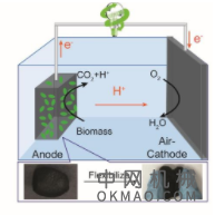 科学家发现了一种非凡的自我改良特性，可将普通的半导体转变为高效，稳定的人造光合作用装置 中国机械网,okmao.com