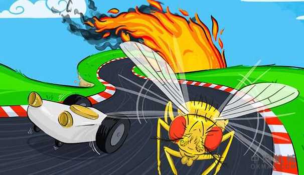 了解果蝇的行为可能是自动驾驶汽车的下一步 中国机械网,okmao.com