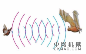 研究人员使用蝙蝠风格的设计来开发声音定位的新方法 中国机械网,okmao.com