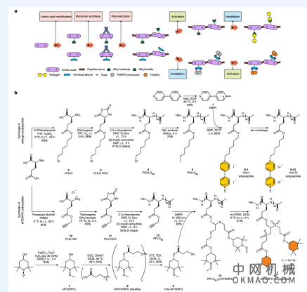 不含金属的多肽电池横空出世，现有电池或将被取代，昨日最新《Nature》！ 中国机械网,okmao.com