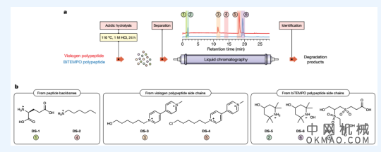 不含金属的多肽电池横空出世，现有电池或将被取代，昨日最新《Nature》！ 中国机械网,okmao.com