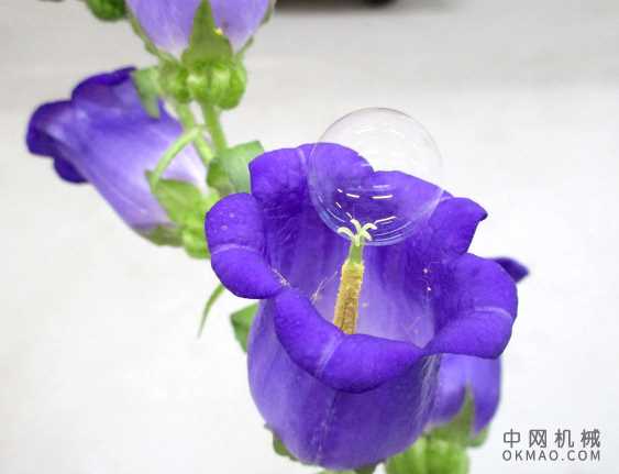 无人机与泡泡机可以像蜜蜂一样授粉花，携带花粉的肥皂泡可以提供一种简单有效的人工授粉方法 中国机械网,okmao.com