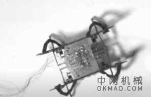 小型机器人游泳者可自愈，活体组织可自许多伤害中自愈，但是赋予人造系统（如机器人）类似的功能非常具有挑战性 中国机械网,okmao.com