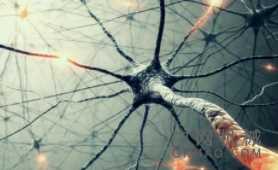 人工神经元设备可以减少能量消耗和神经网络硬件的大小 中国机械网,okmao.com