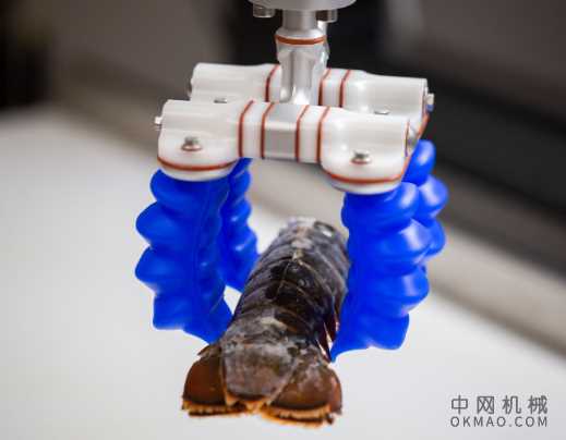 Soft Robotics将JMP解决方案添加到集成商计划 中国机械网,okmao.com