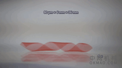 中科院深圳先进院杜学敏研究员等Research：发展天然高分子水凝胶材料三维形态可控编辑新策略 中国机械网,okmao.com