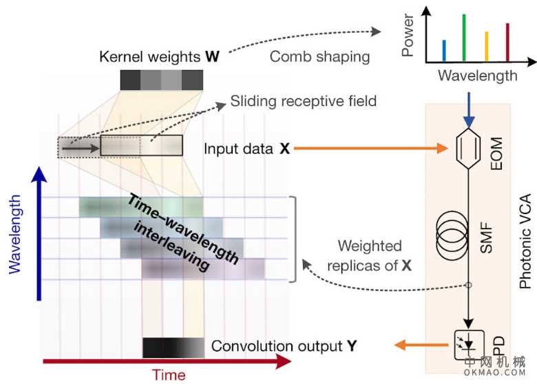 研究人员开发出强大的光学神经形态处理器,徐星元博士采用集成光学微梳芯片,构成光神经形态处理器的核心部分 中国机械网,okmao.com