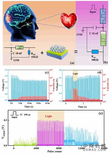 河北大学闫小兵教授团队 ACS Nano：基于忆阻器的人工视觉神经系统 中国机械网,okmao.com